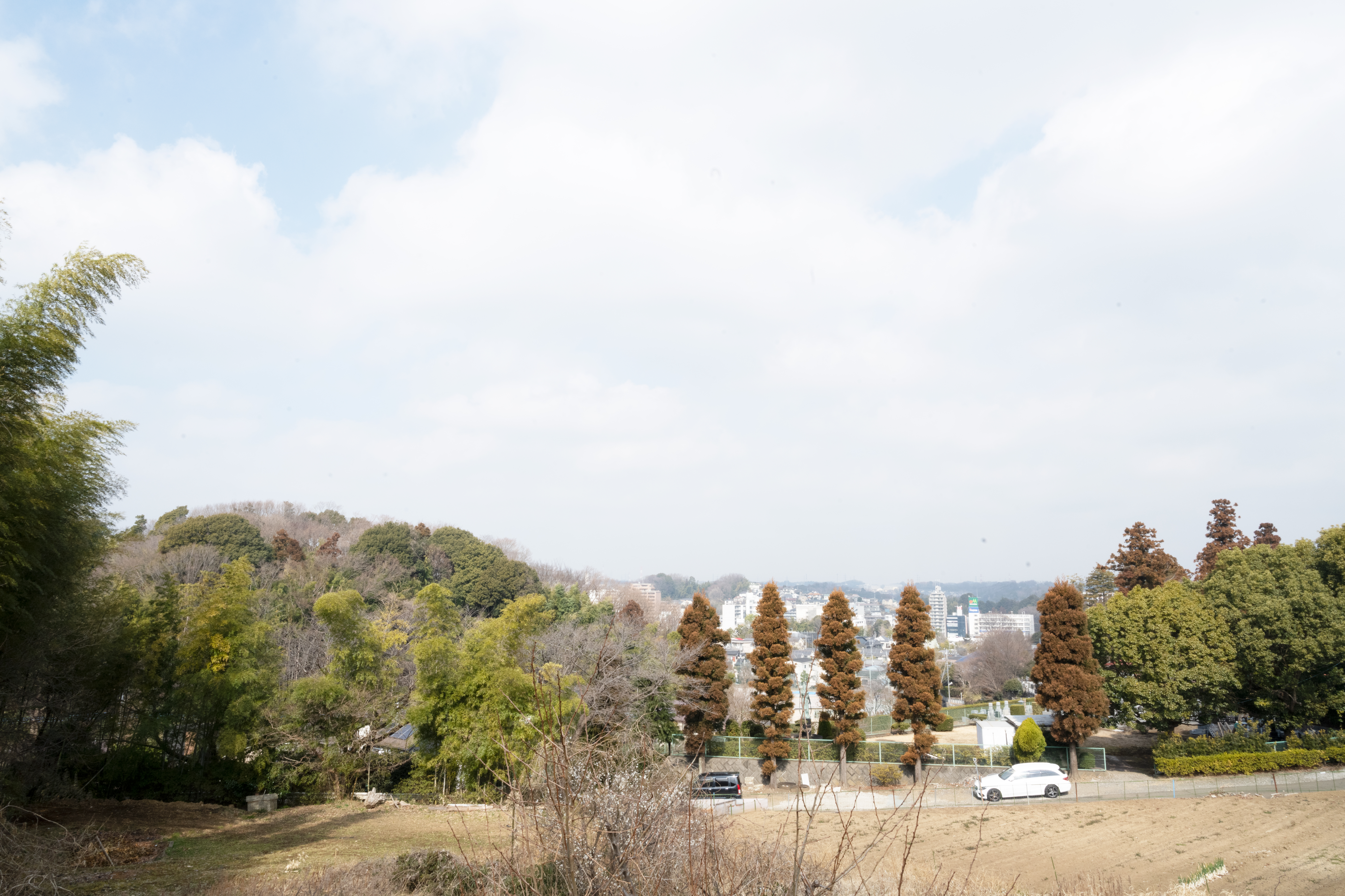 緑山方面から望む鶴川"