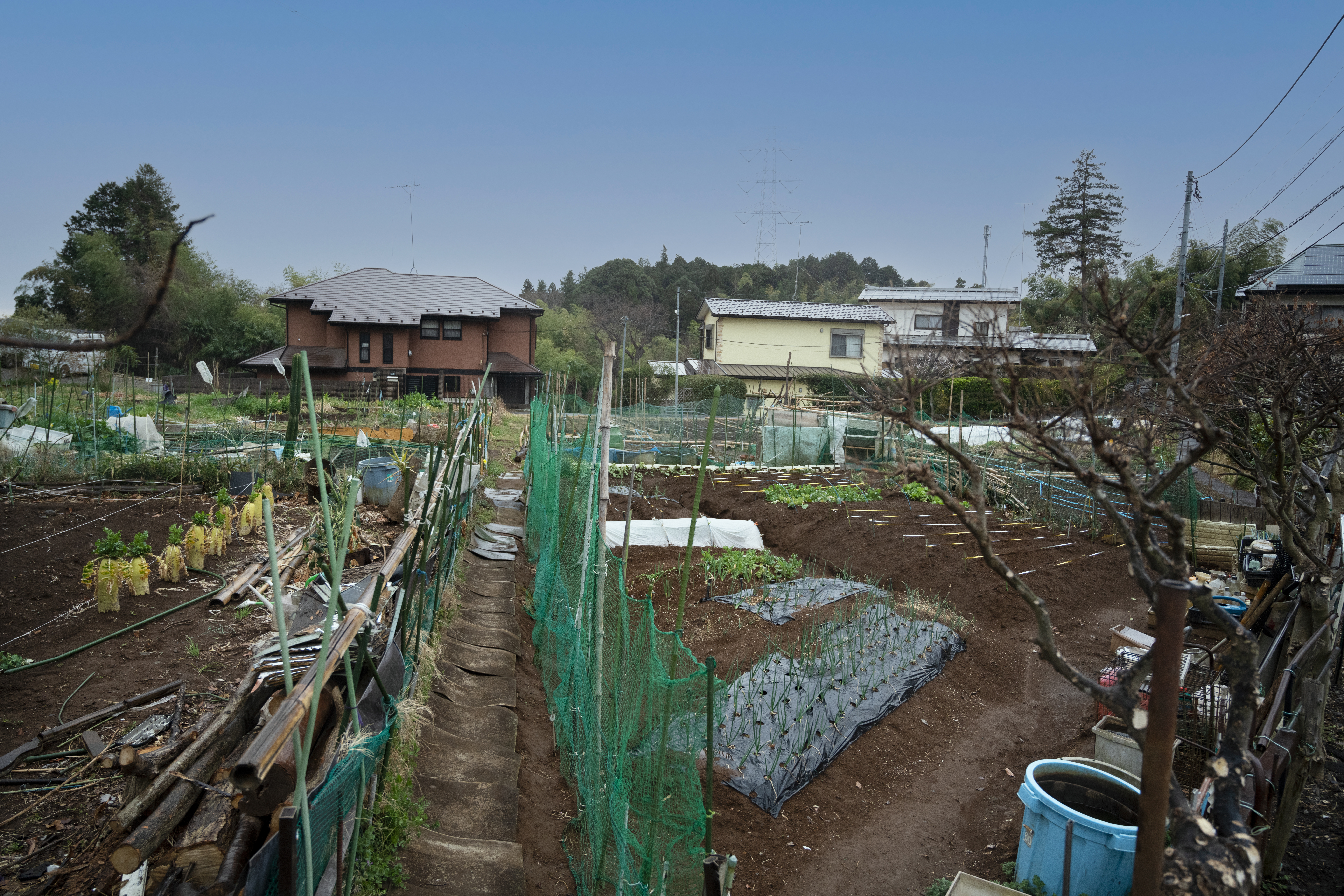 玉川大学への経路風景1"