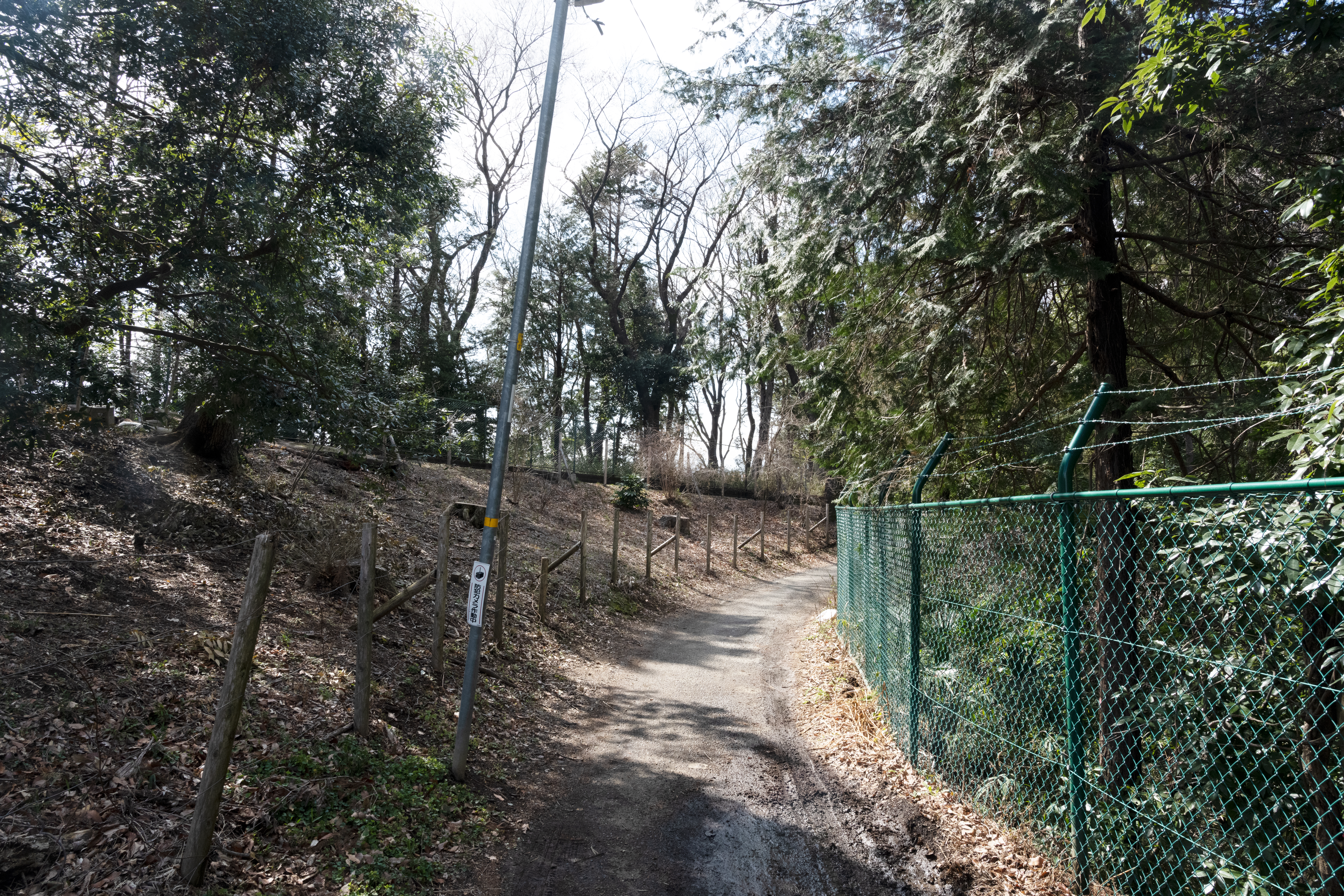 玉川大学への経路風景2(防犯カメラ付き)"